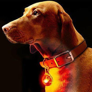 LED Clip-On Luz de Seguridad para Mascotas