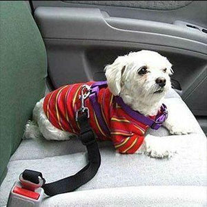 Cinturón de Seguridad Ajustable para Mascotas (6 Colores Disponibles)